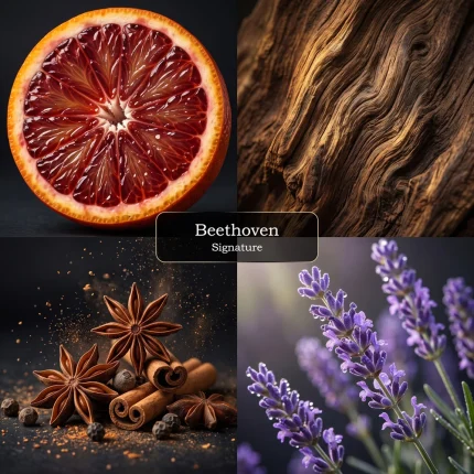 عطر Beethoven سیگنیچر