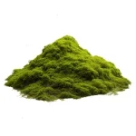 Moss