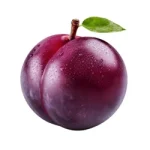 Plum