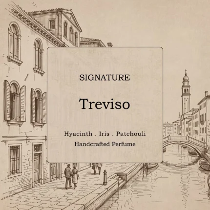 عطر Treviso سیگنیچر