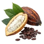 cacao pod