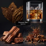 عطر Havana Bar سیگنیچر