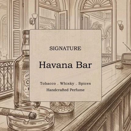 عطر Havana Bar سیگنیچر