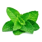 Peppermint