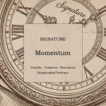 Momentum Signature