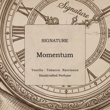 Momentum Signature