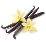 vanilla